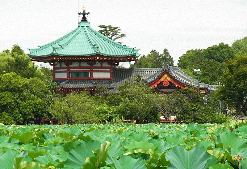 About Tokyo