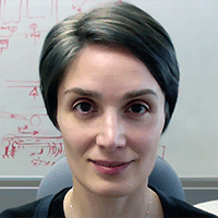 Mina Rais-Zadeh, PhD. 