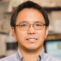 Renkun Chen