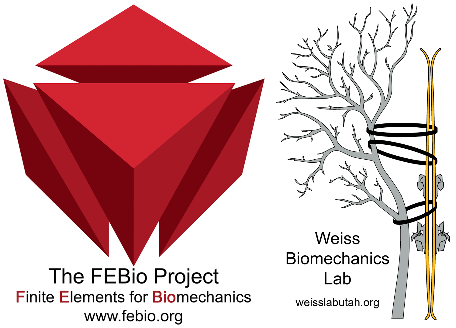 Biomechanics Lab and the FEBio Project, University of Utah